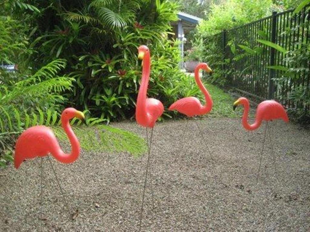 Pink Flamingo Resort Port Douglas Exterior photo